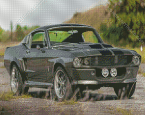 Aesthetic Eleanor Mustang Diamond Paintings