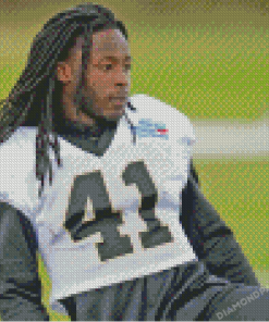 Alvin Kamara Diamond Paintings