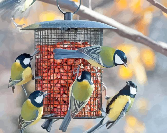 Birds At Bird Feeder Diamond Paintings