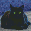 Black Cat With Green Eyes Diamond Paintings