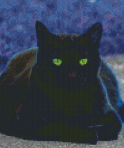 Black Cat With Green Eyes Diamond Paintings