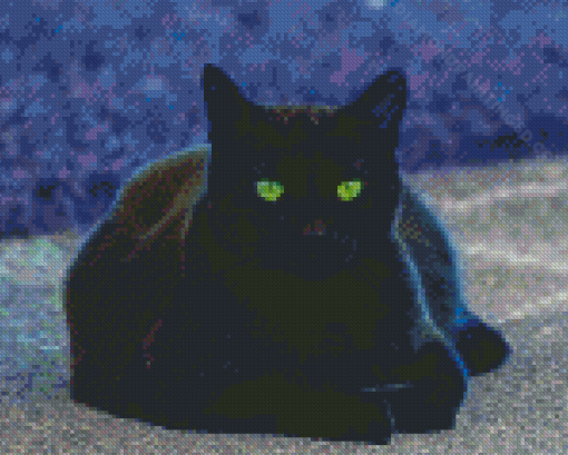 Black Cat With Green Eyes Diamond Paintings