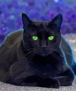 Black Cat With Green Eyes Diamond Paintings