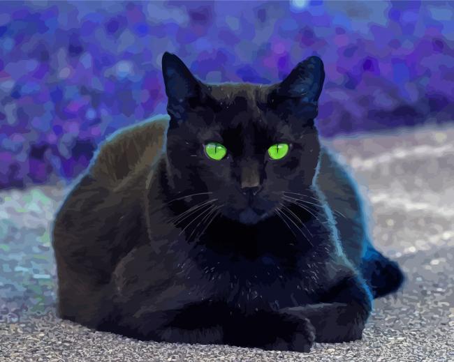 Black Cat With Green Eyes Diamond Paintings