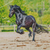 Black Sport Horse Diamond Paintings