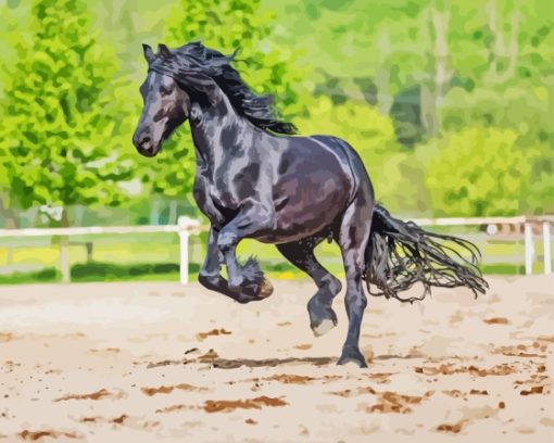 Black Sport Horse Diamond Paintings