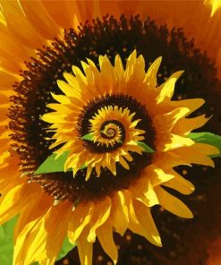 Blooming Spiral Sunflower Diamond Paintings