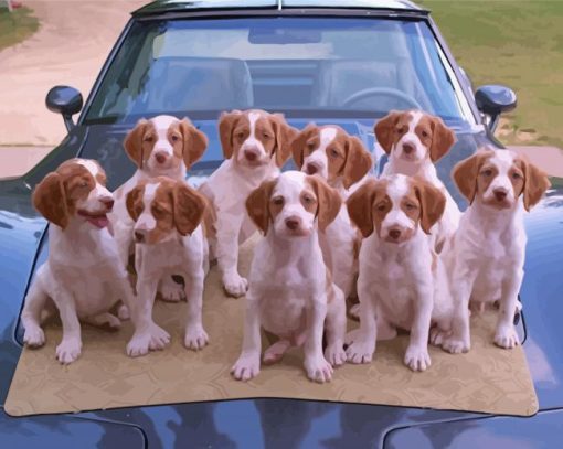 Brittany Puppies On Car Diamond Paintings