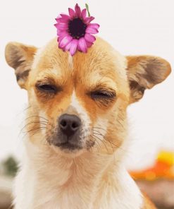 Chihuahua With Flower Diamond Paintings