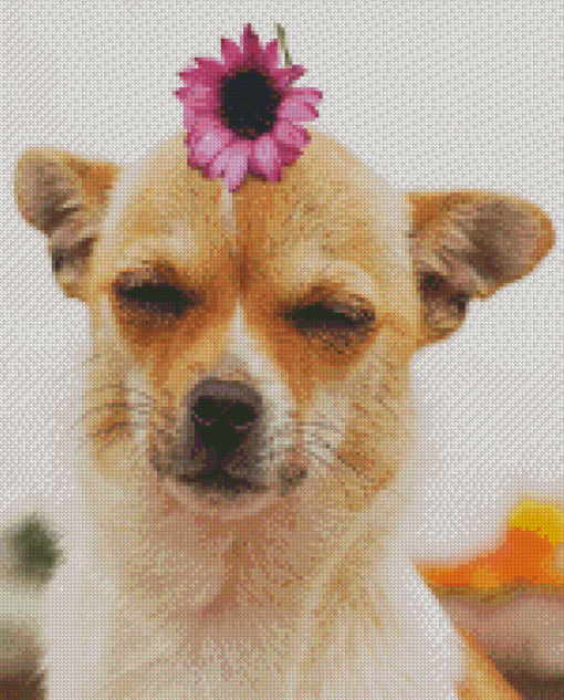 Chihuahua With Flower Diamond Paintings