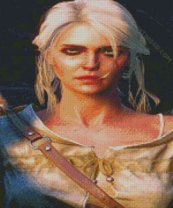 Cirilla The Witcher Serie Diamond Paintings