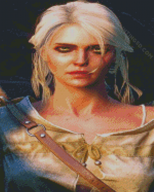 Cirilla The Witcher Serie Diamond Paintings