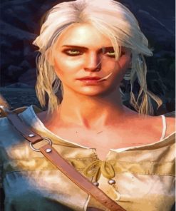 Cirilla The Witcher Serie Diamond Paintings