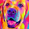 Colorful Dog Diamond Paintings