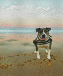 Dog In The Beach Diamond Paintings