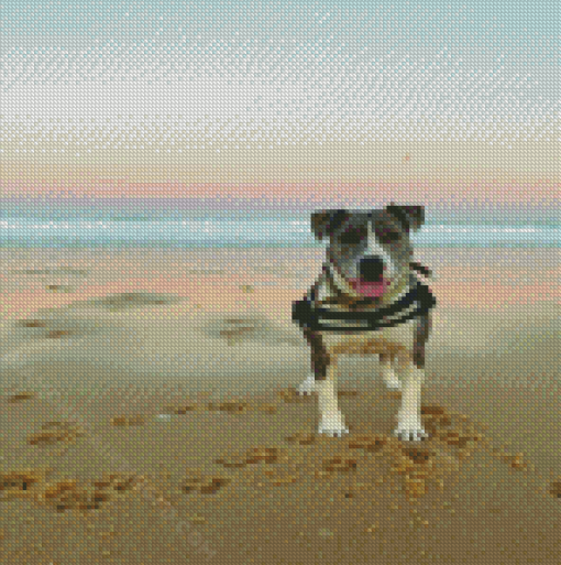 Dog In The Beach Diamond Paintings