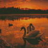 Ducks Sunset Diamond Paintings