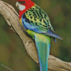 Eastern Rosella Back Diamond Paintings