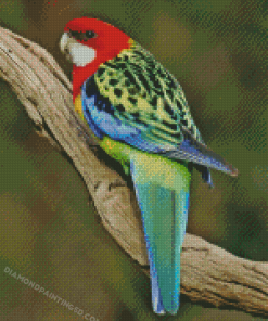 Eastern Rosella Back Diamond Paintings