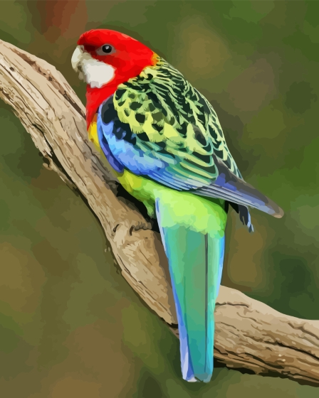 Eastern Rosella Back Diamond Paintings