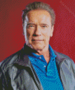 Former Governor Arnold Schwarzenegger Diamond Paintings