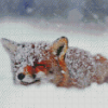 Fox In The Snow Diamond Paintings