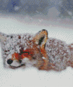 Fox In The Snow Diamond Paintings