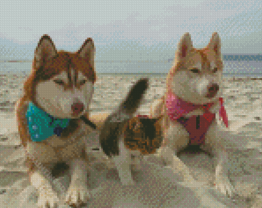 Huskies With Cat Diamond Paintings