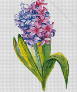 Hyacinth Art Diamond Paintings