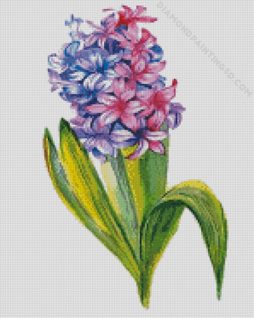 Hyacinth Art Diamond Paintings