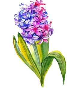 Hyacinth Art Diamond Paintings