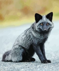 Little Silver Fox Diamond Paintings