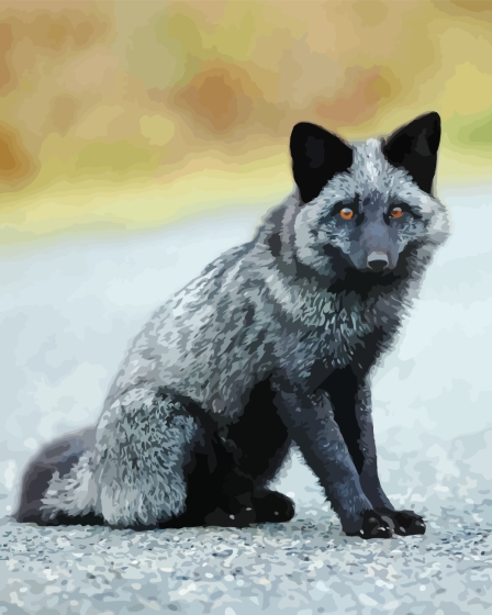 Little Silver Fox Diamond Paintings