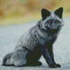 Little Silver Fox Diamond Paintings