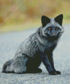 Little Silver Fox Diamond Paintings