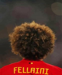 Marouane Fellaini Football Diamond Paintings