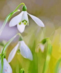 Plant Snowdrops Diamond Paintings