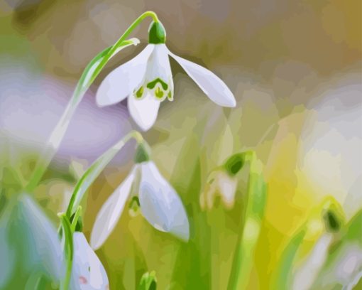 Plant Snowdrops Diamond Paintings