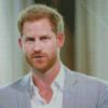 Prince Harry Diamond Paintings