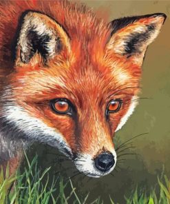 Red Fox Art Diamond Paintings