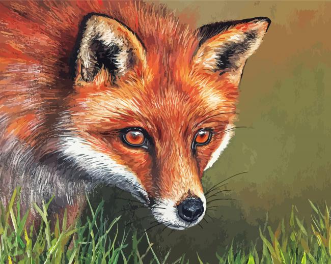 Red Fox Art Diamond Paintings