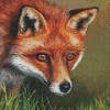 Red Fox Art Diamond Paintings