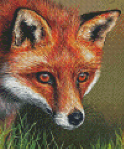 Red Fox Art Diamond Paintings