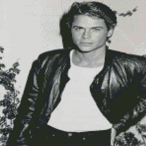 Rob Lowe Black And White Actor Diamond Paintings