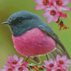 Rose Robin With Pink Flowers Diamond Paintings