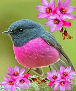 Rose Robin With Pink Flowers Diamond Paintings