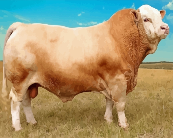 Simmental Cattle Diamond Paintings