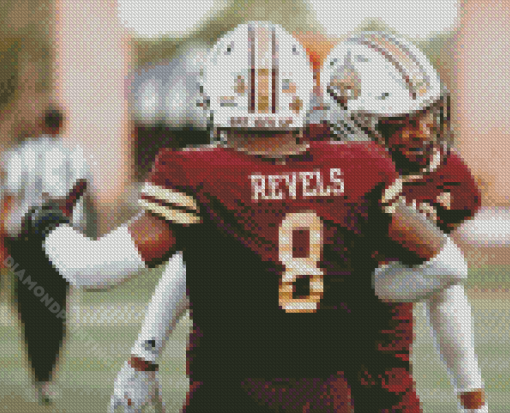 Texas State Bobcats Football Players Diamond Paintings