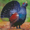 Western Capercaillie Diamond Paintings