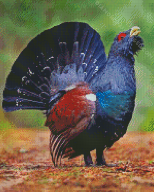 Western Capercaillie Diamond Paintings